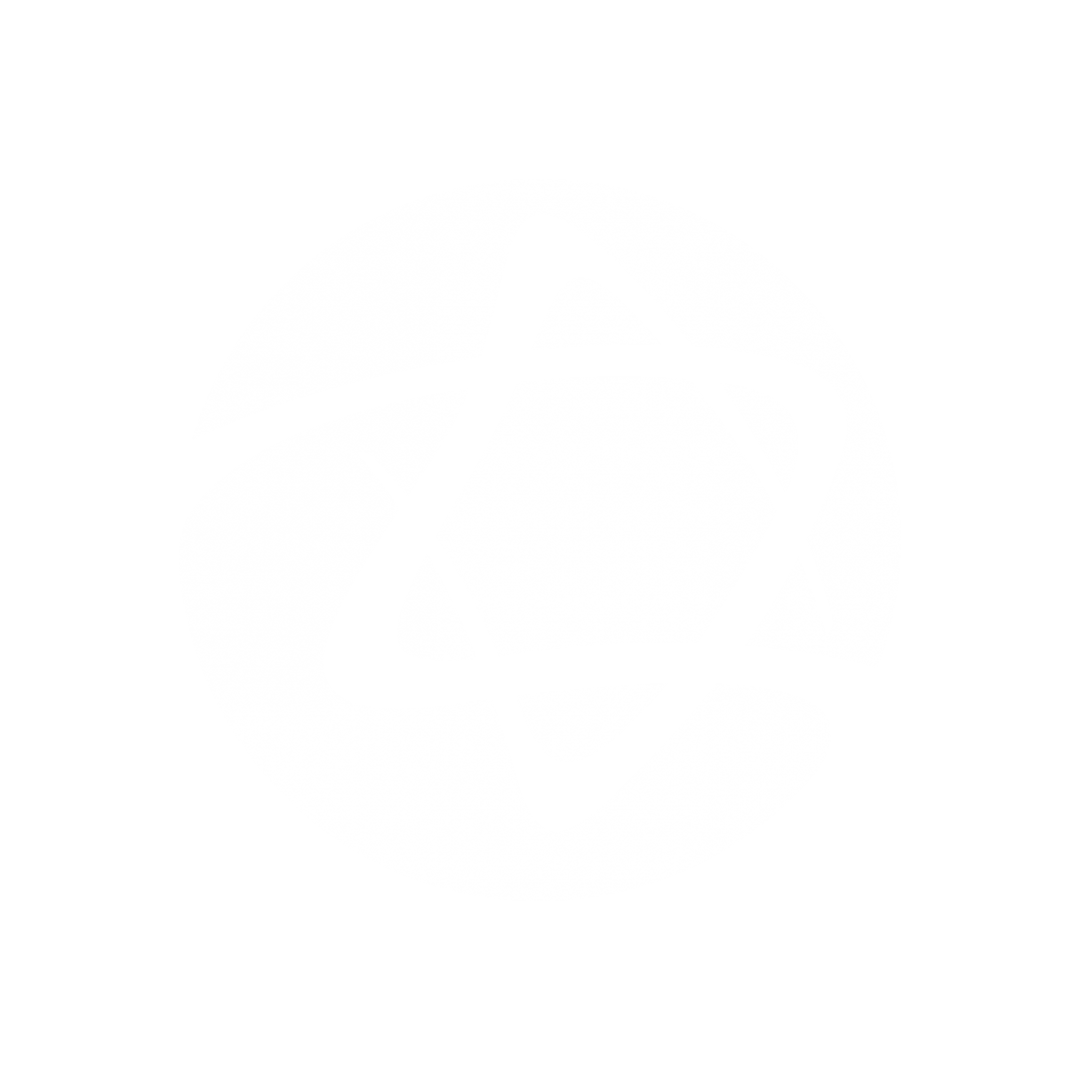 logo-albert-einstein